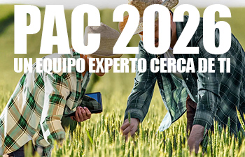 Un agricultor y una técnica, perita agrícola, mirando un campo de trigo