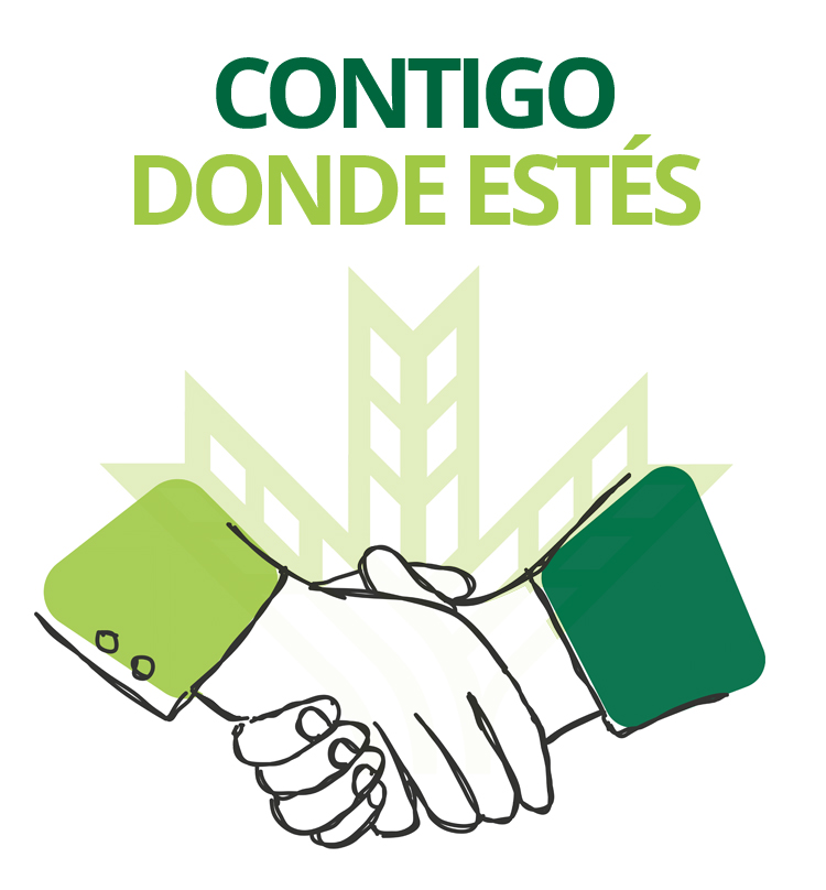 Contigo donde estés. Manos estrechándose delante de una espiga.