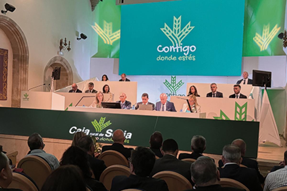 consejo rector de caja rural de soria