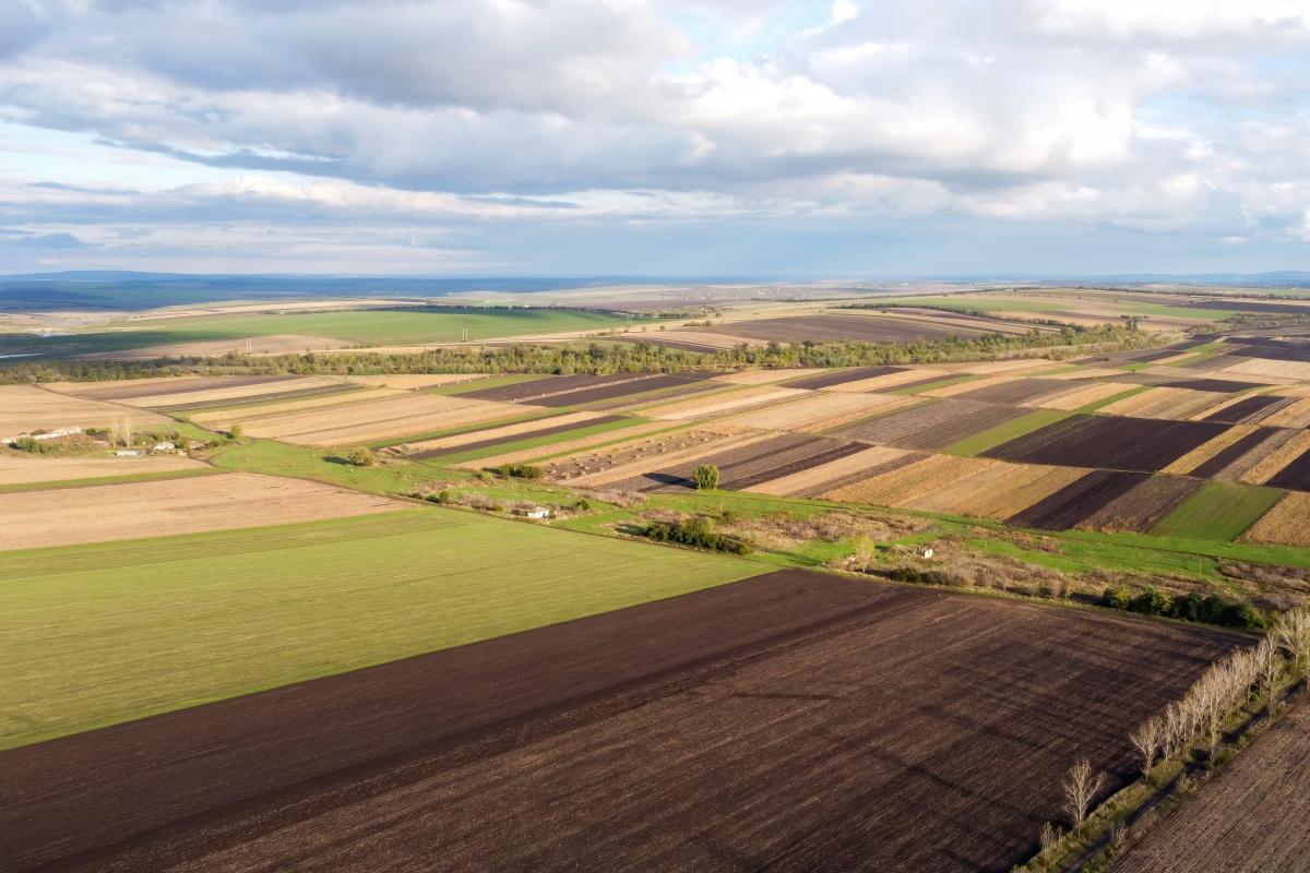 Terreno para uso agrícola y/o ganadero. 