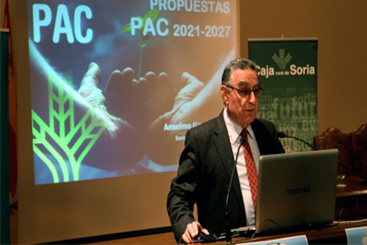 Conferencia presentada por Anselmo Garcia, Director de la Fundación Soriactiva.