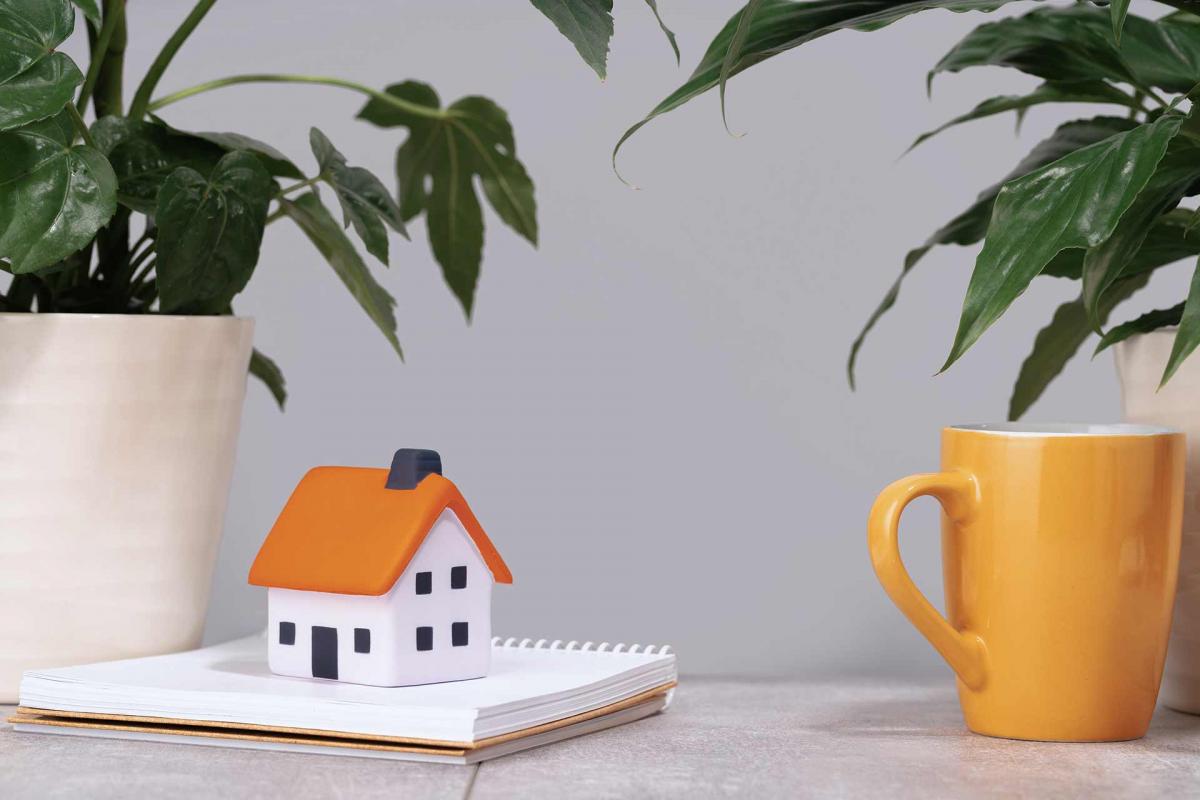 Plantas con una casa de fondo Plantas con una casa de fondo